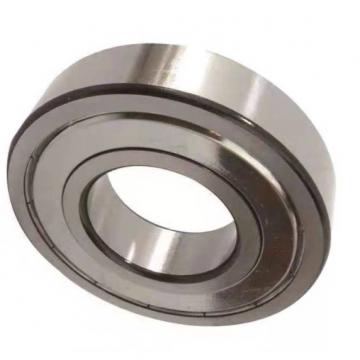 Thrust Bearing 81113m SKF/NSK/Timken/NACHI/NTN/FAG/Koyo Quality Thrust Rolling Bearing with Cylindrical Rollers