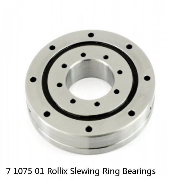 7 1075 01 Rollix Slewing Ring Bearings