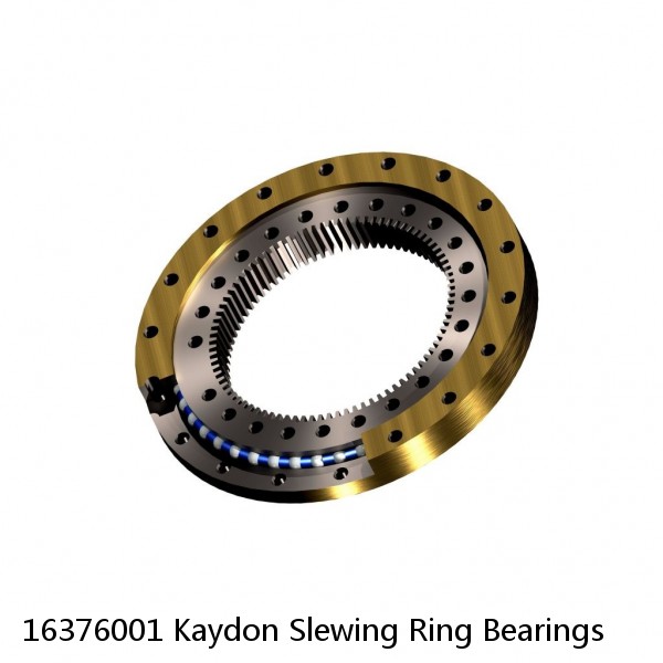 16376001 Kaydon Slewing Ring Bearings