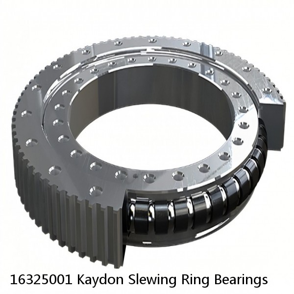 16325001 Kaydon Slewing Ring Bearings
