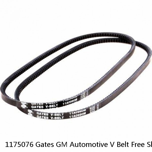 1175076 Gates GM Automotive V Belt Free Shipping Free Returns