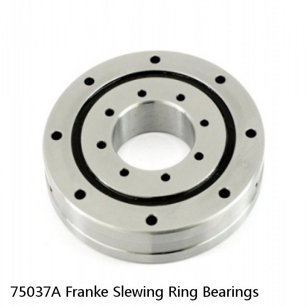 75037A Franke Slewing Ring Bearings