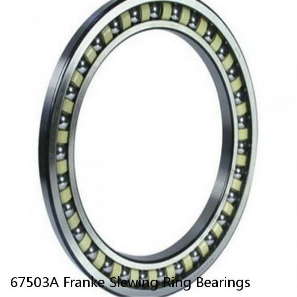 67503A Franke Slewing Ring Bearings