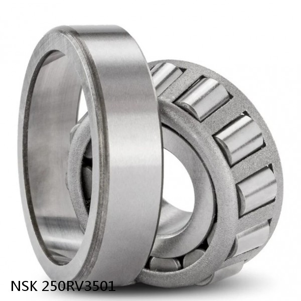 250RV3501 NSK Four-Row Cylindrical Roller Bearing #1 small image