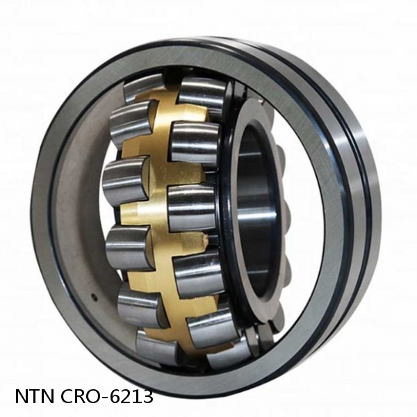 CRO-6213 NTN Cylindrical Roller Bearing #1 small image