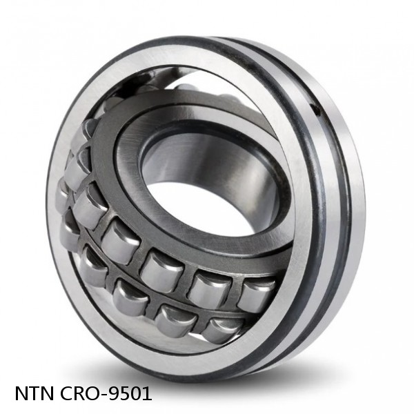 CRO-9501 NTN Cylindrical Roller Bearing