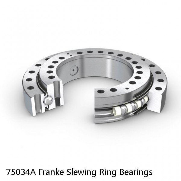 75034A Franke Slewing Ring Bearings #1 image