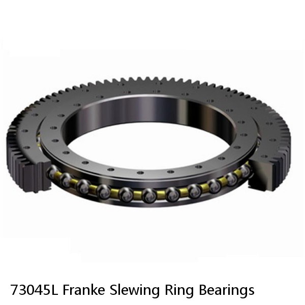 73045L Franke Slewing Ring Bearings #1 image