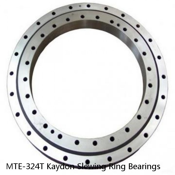 MTE-324T Kaydon Slewing Ring Bearings #1 image
