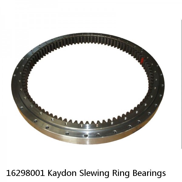 16298001 Kaydon Slewing Ring Bearings #1 image