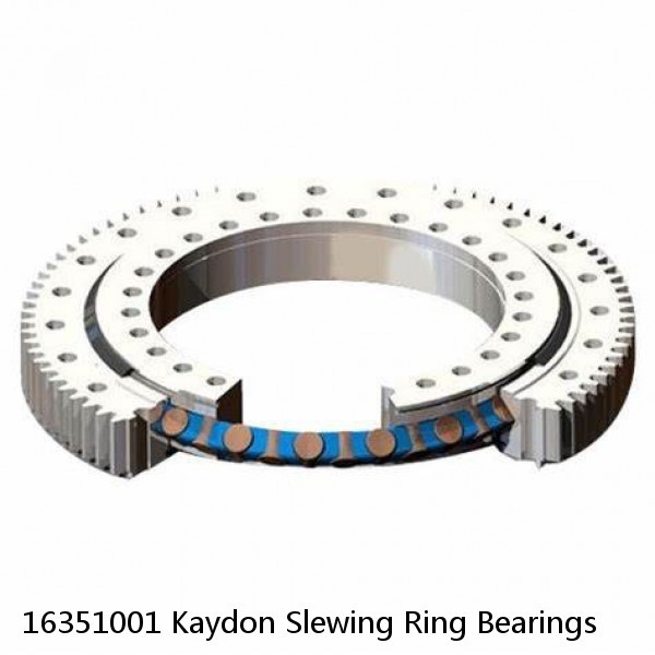 16351001 Kaydon Slewing Ring Bearings #1 image