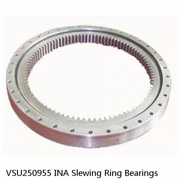 VSU250955 INA Slewing Ring Bearings #1 image